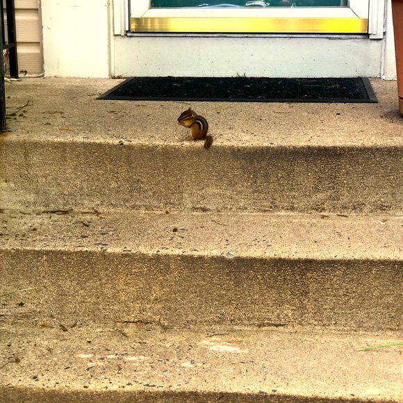 Posh Ambassador II ππ½ - Picture 14 of 16